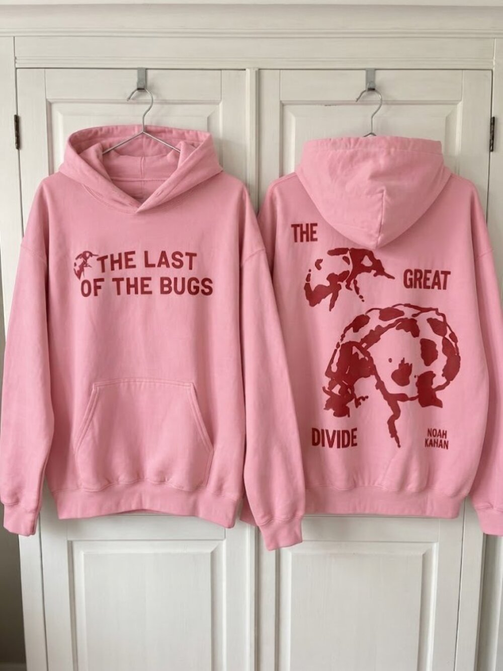 Noah Kahan The Great Divide The Last of the Bugs Hoodie